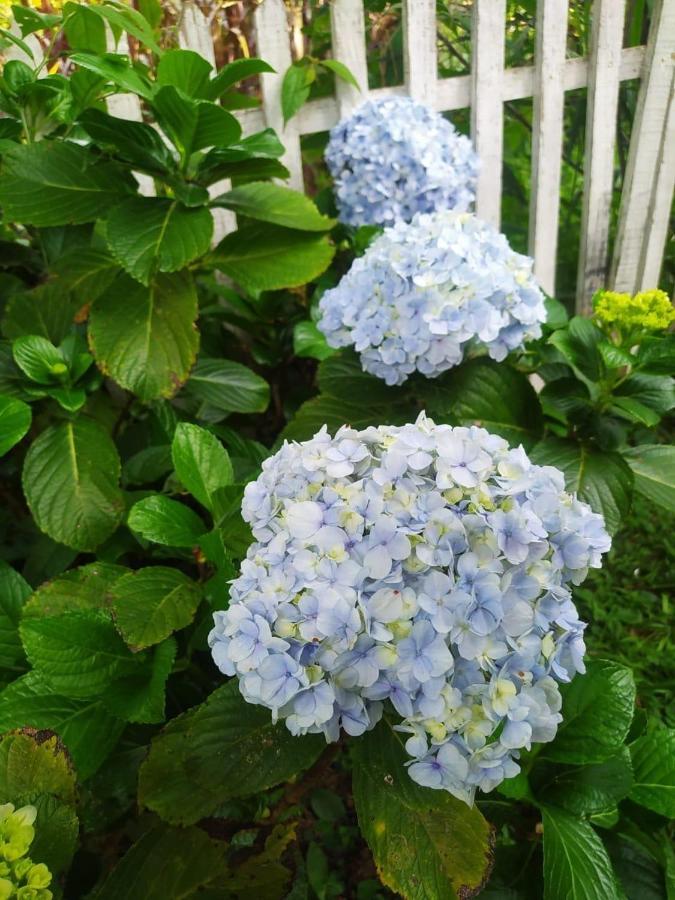 Recanto Das Flores São Tomé das Letras Exteriör bild
