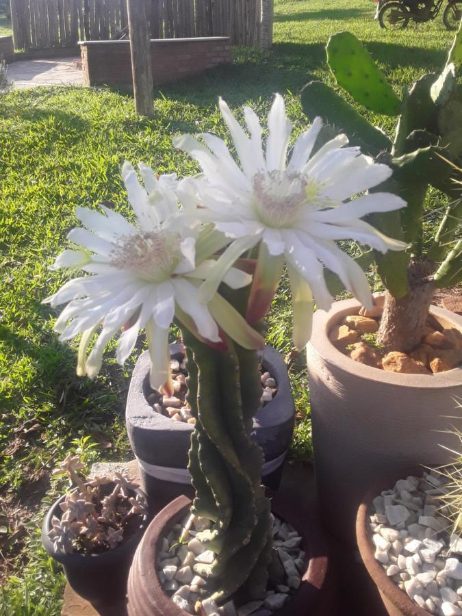 Recanto Das Flores São Tomé das Letras Exteriör bild
