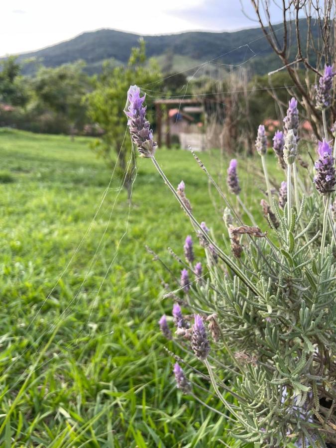Recanto Das Flores São Tomé das Letras Exteriör bild